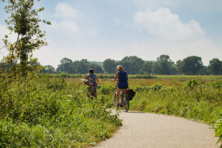 Fietsen en wandelen